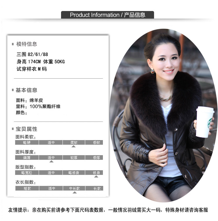信息圖