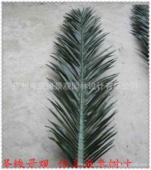 qq图片20130614101733