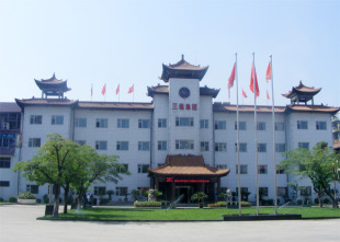 山西三维集团股份有限公司