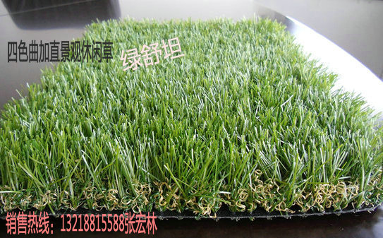四色景观草