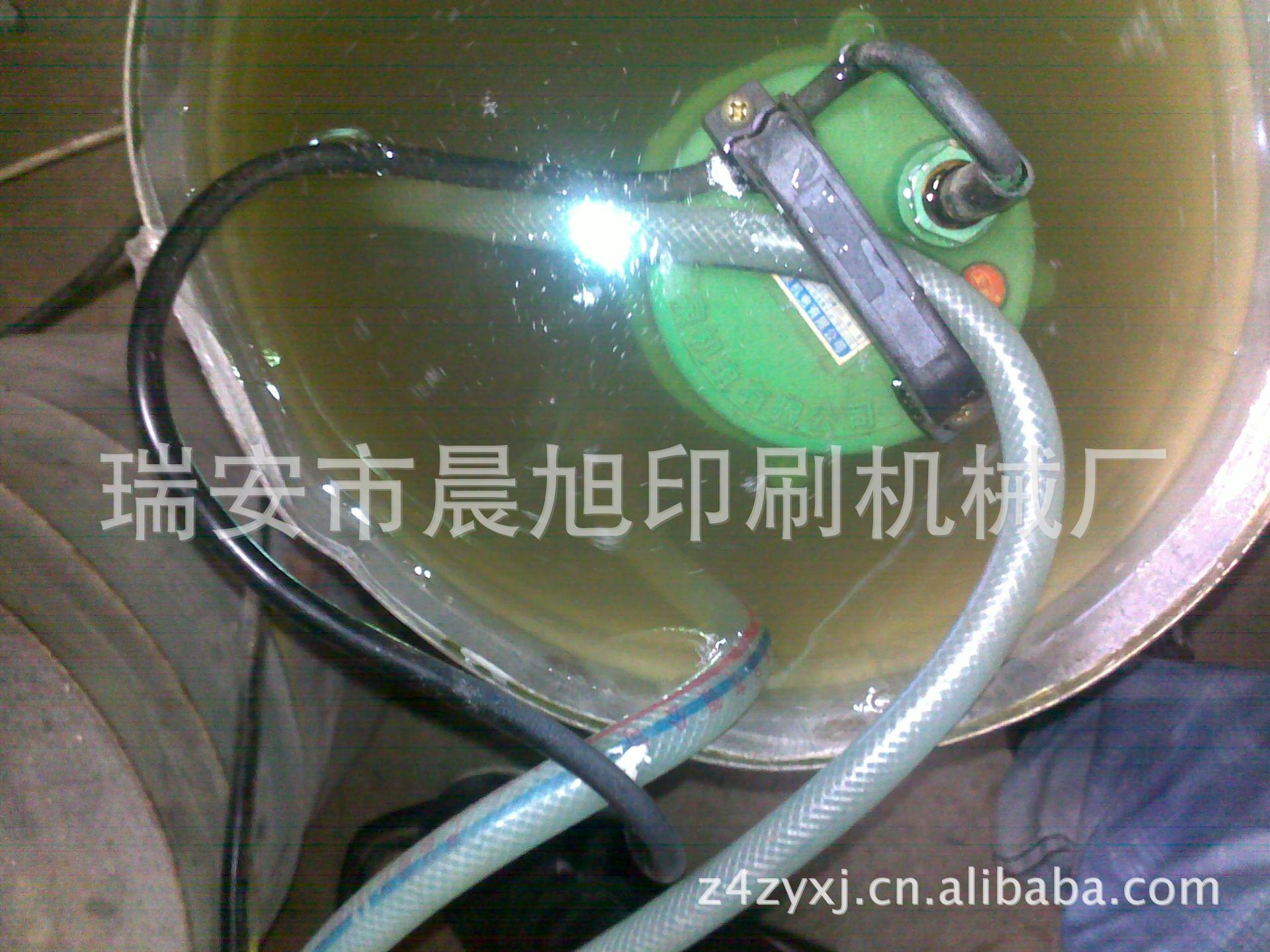 20100619286