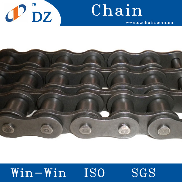 roller chain RS80
