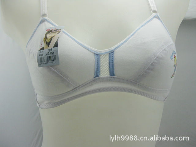 欧美新款<em>文胸贴牌加工</em>厂定做、性感时尚胸罩胸