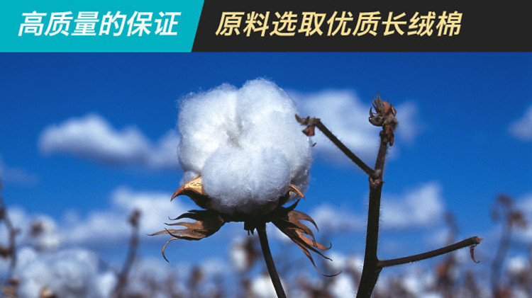 棉花