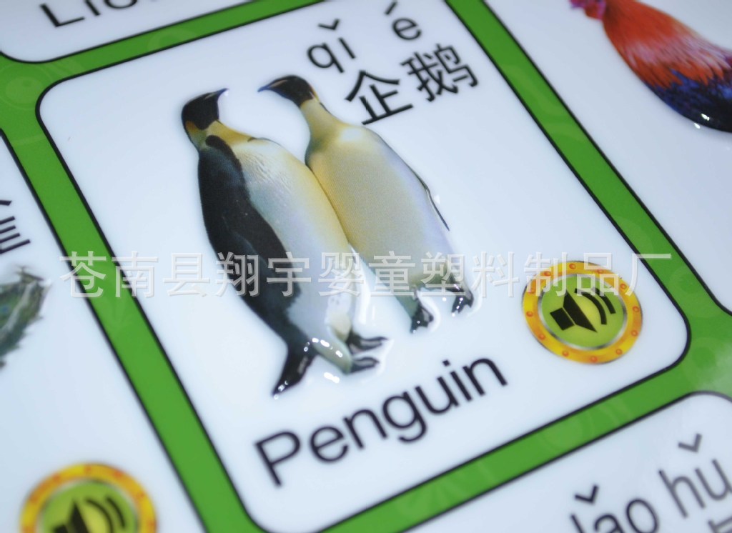 【亲亲鱼益智玩具早教益智挂图 有声挂图 高档