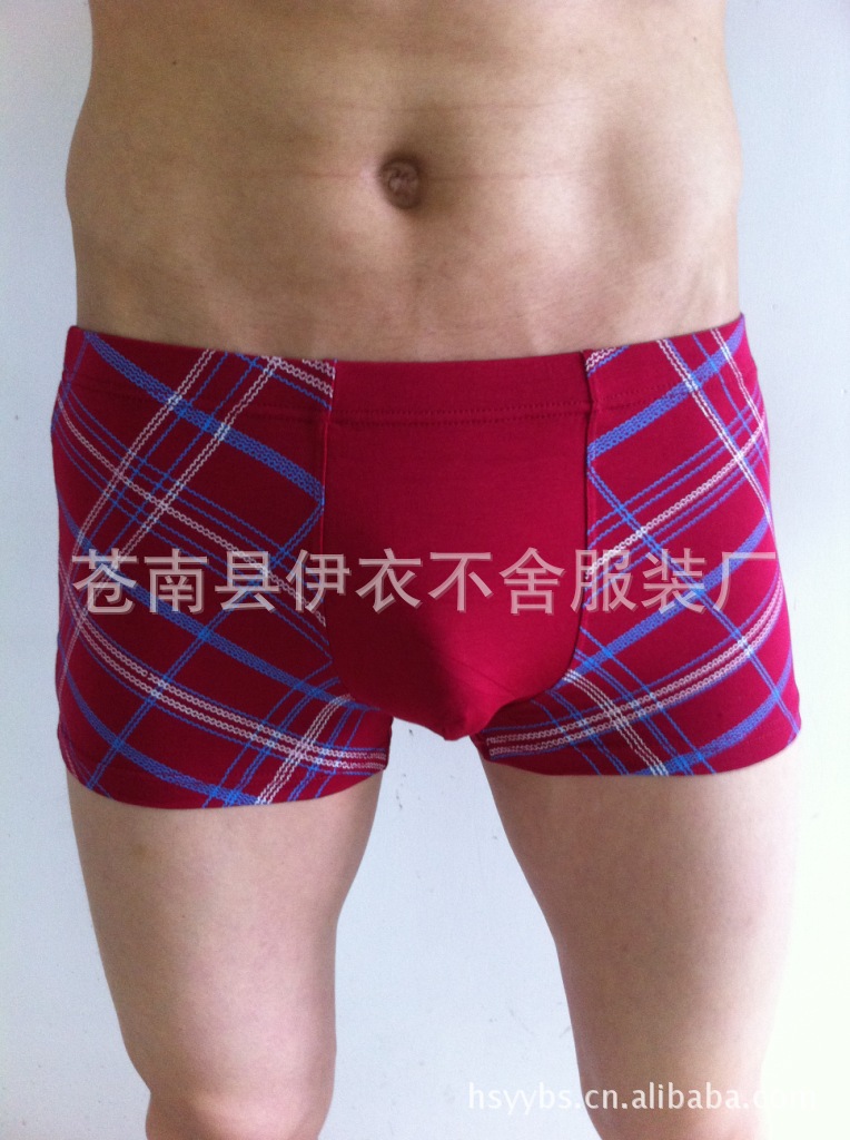 照片 167