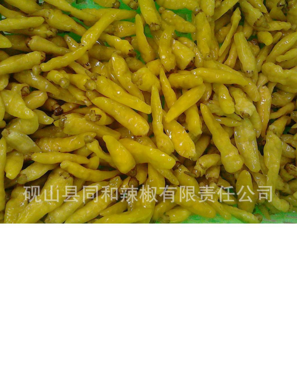 供应大量优质腌制小米辣,云南小米辣腌渍