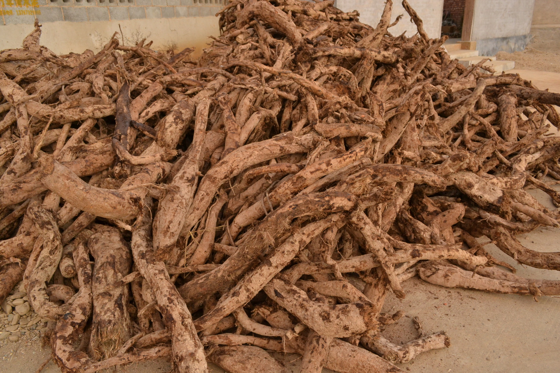 鲜 葛根   葛根 片 图片_高清大图 - 阿里巴巴