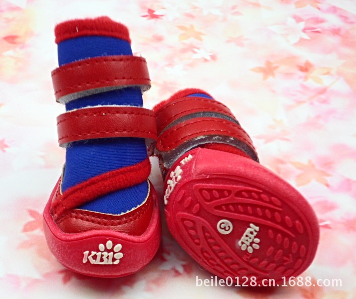 SAM_0655