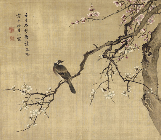 沈铨 梅花白头?