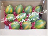番木瓜专用锦锐保鲜袋4_副本