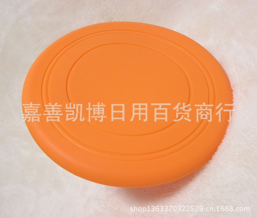 P1010281