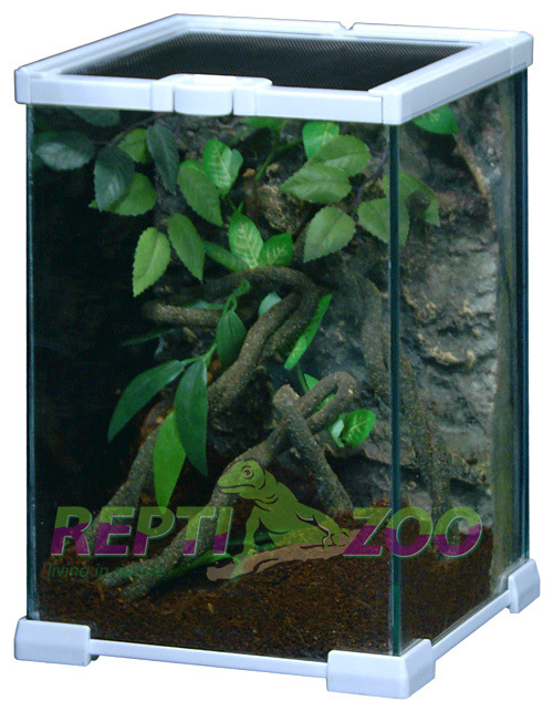 REPTIZOO蜘蛛角蛙蝎子守宫火玫瑰玉米蛇甲虫