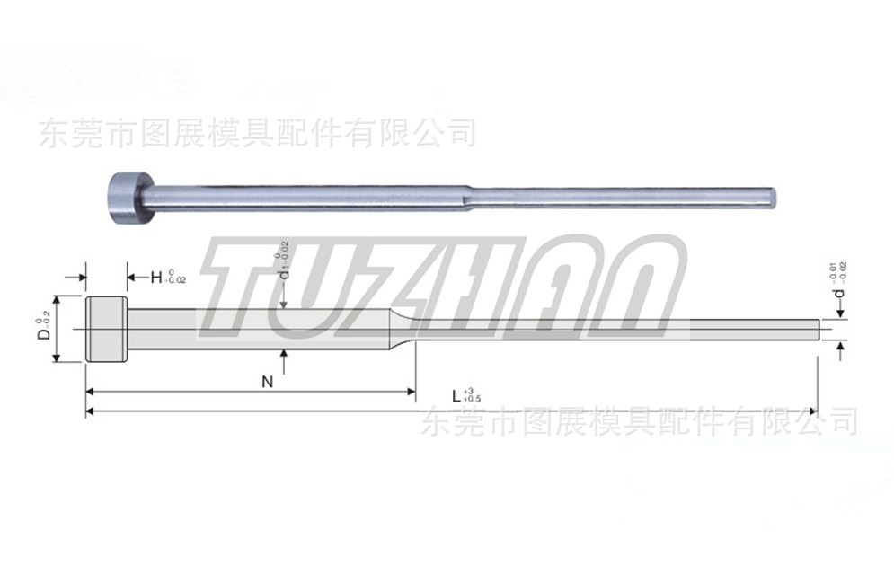 TZ00601