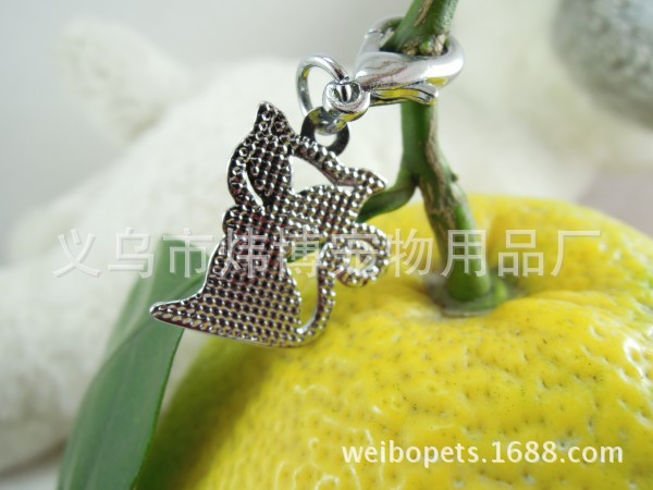 conew_dscn0279