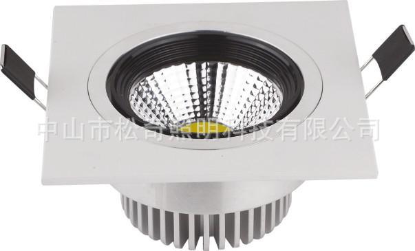 SK-COBff-301