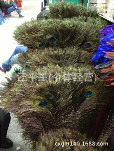 QQ图片20130921183239