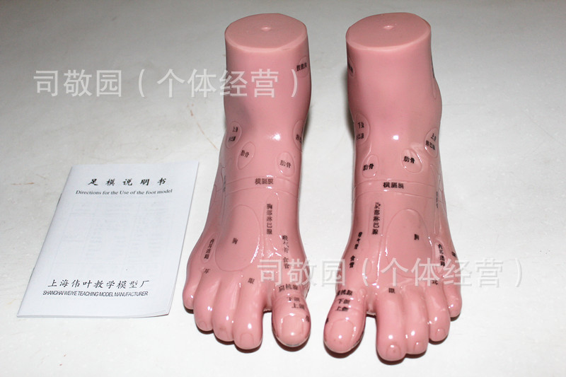 照片 24139_副本