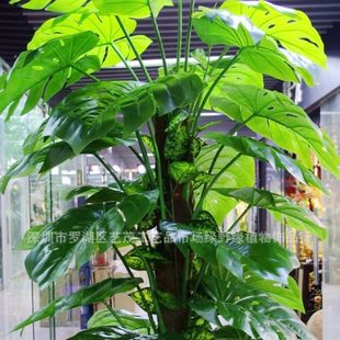 批发采购仿真植物-【厂家直销】仿真蓬莱蕉龟背叶 专业供应各种仿真植物批发采购-仿