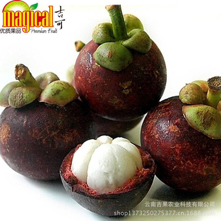 批发供应泰国山竹 云南水果批发 昆明进口水果 新鲜水果图片_3