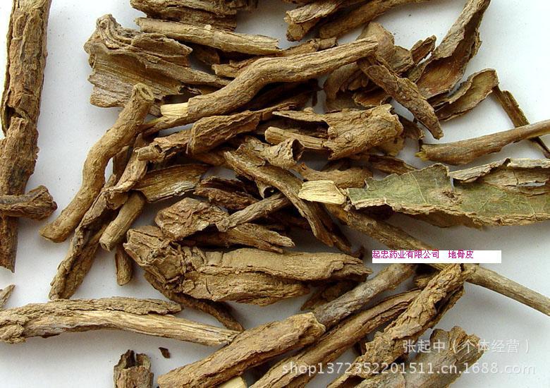 【地骨皮 阴虚潮热、骨蒸盗汗、肺热咳嗽】价