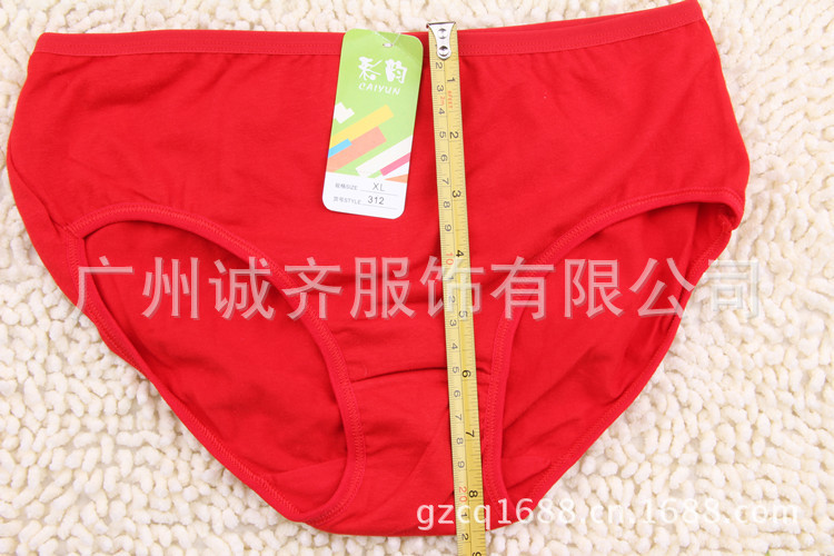 GS673 纯色女士内裤 (25)