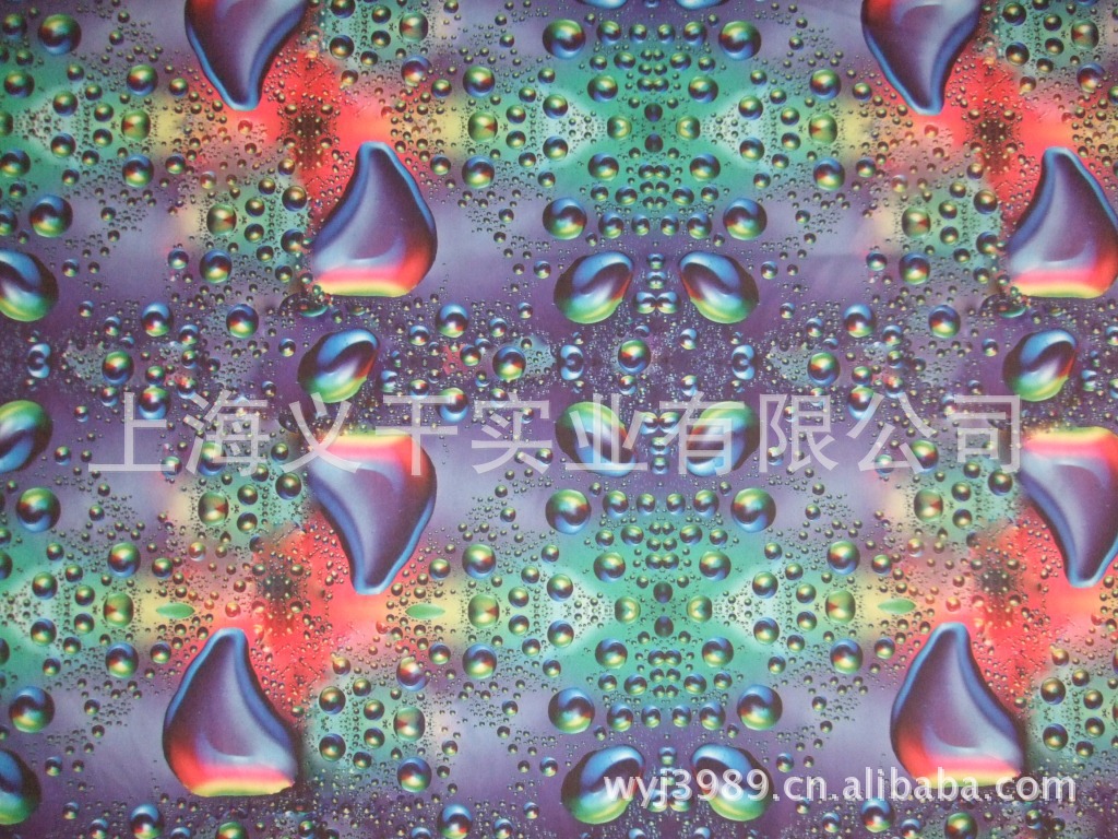 DSCF6733