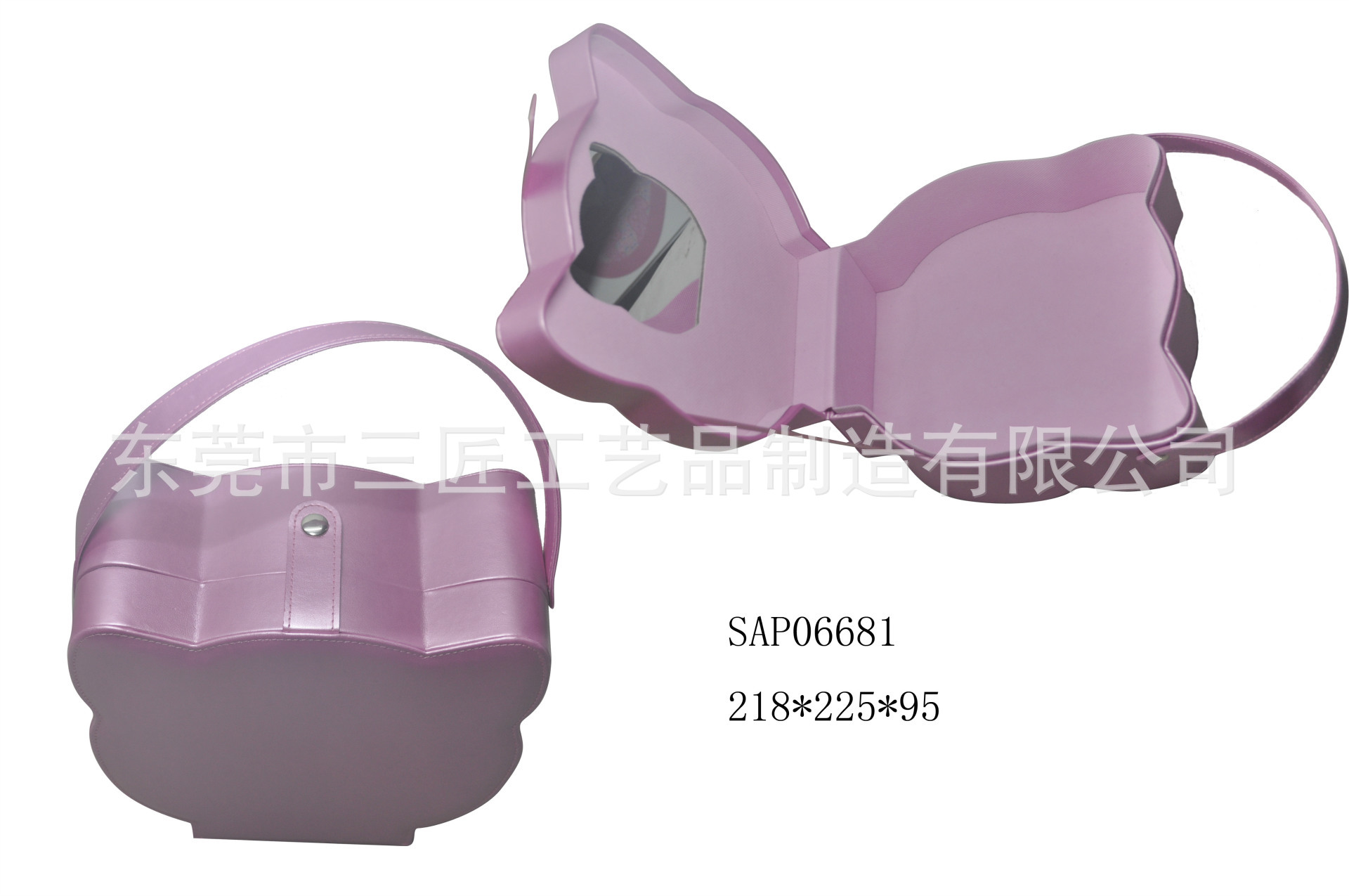 SAP06681