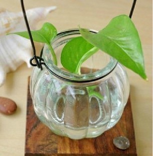 T2N0qqXipcXXXXXXXX_!!101428521