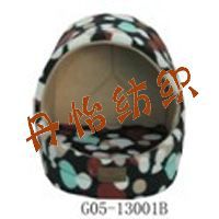 nEO_IMG_G05-13001B
