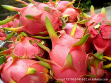 陕西西瓜水果_产地鲜果柠檬_有机冬枣水果_厂