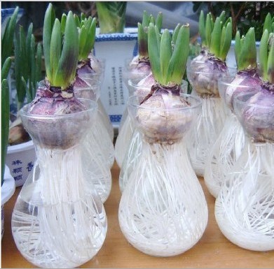 Q{F[CJ7KVH()SS9ST7($`6G