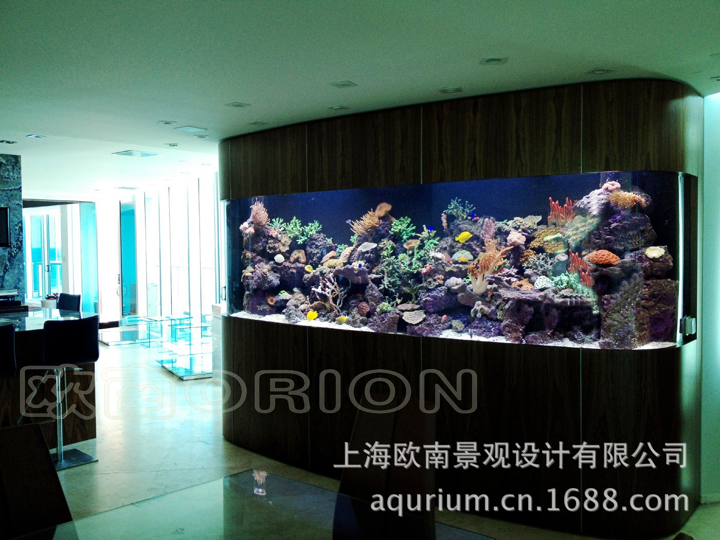 上海生态鱼缸 玻璃海水鱼缸 水族箱 生态鱼缸厂商 观赏鱼缸