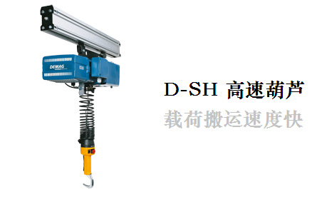 D-SH高速葫芦