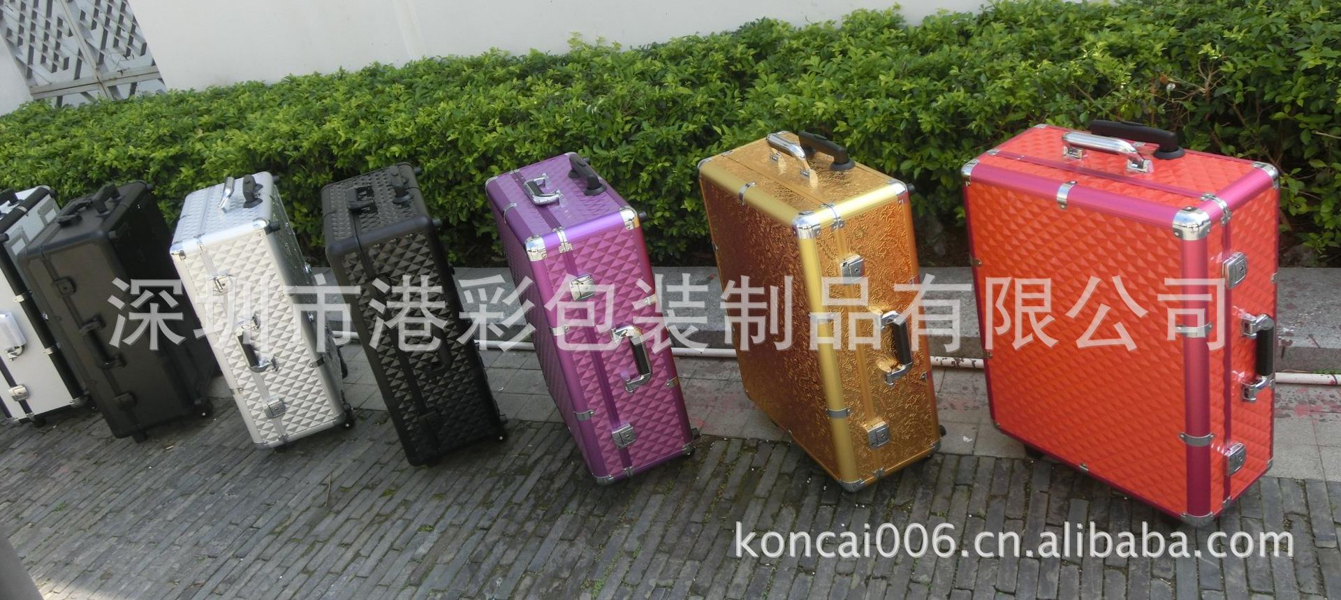 CIMG6555