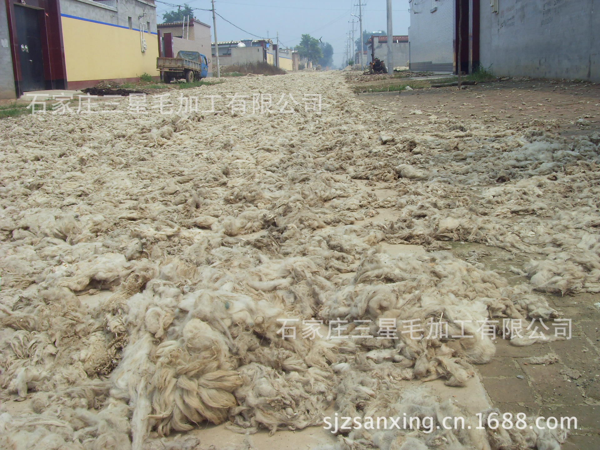 动物毛鬃-绵羊毛、山羊毛、落毛、毛渣-动物毛