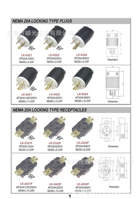 Locking Plug  (1)