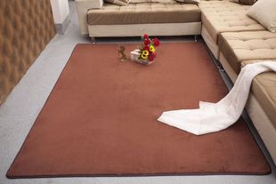 珊瑚绒地毯 结婚地毯 床边卧室茶几地毯 儿童环保地毯 毛毯批发