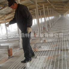 厂家专供广东地区新型家禽养殖资材