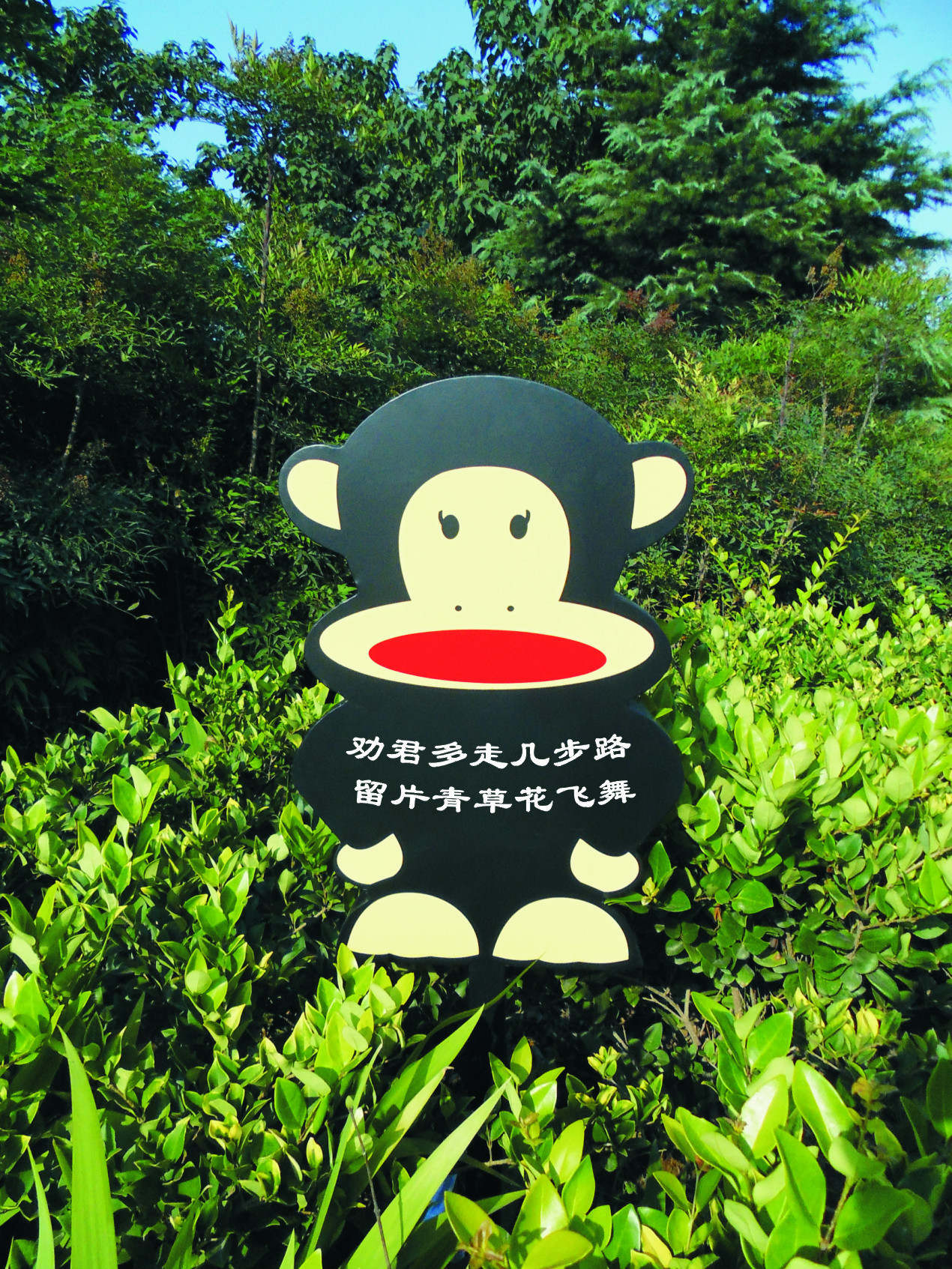 大嘴猴