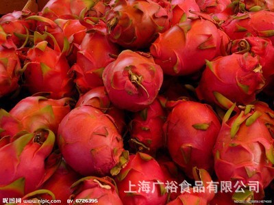 其他生鲜水果-销售优质火龙果越南火龙果170-