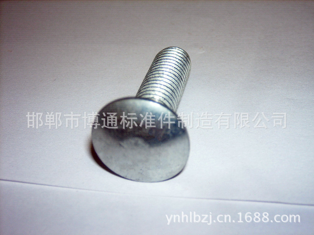 马车螺栓 (6)