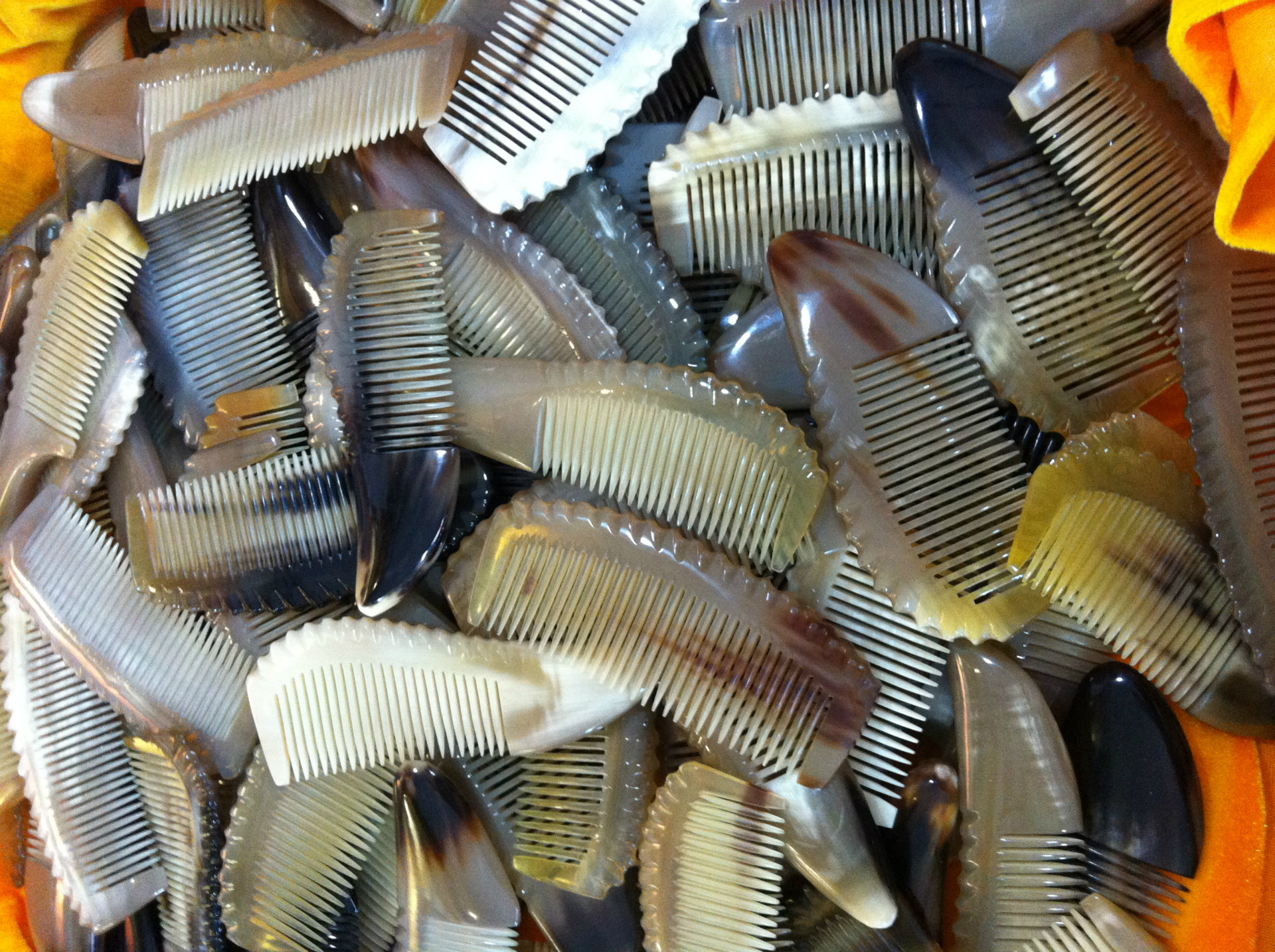 精品小黄牛角� 079