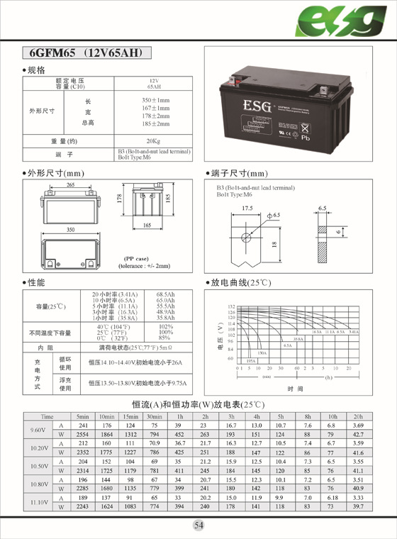 中文GFM 12V65