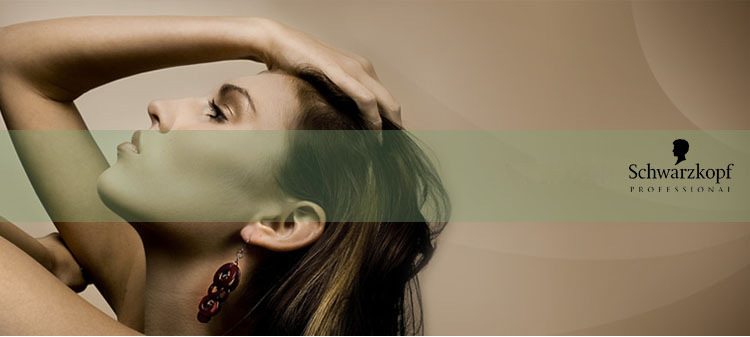 正品进口施华蔻 <em>黑人</em>头 动感丰盈液150ml 丰盈