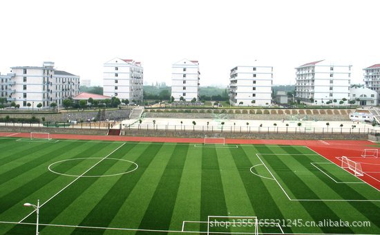运动跑道、人造草坪-人造足球场专用草坪。假