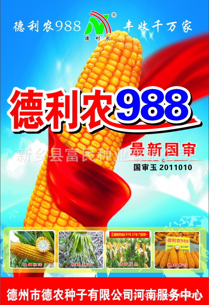 农作物种子,种苗 粮食作物种子 国审 山东审定玉米品种 德利农988