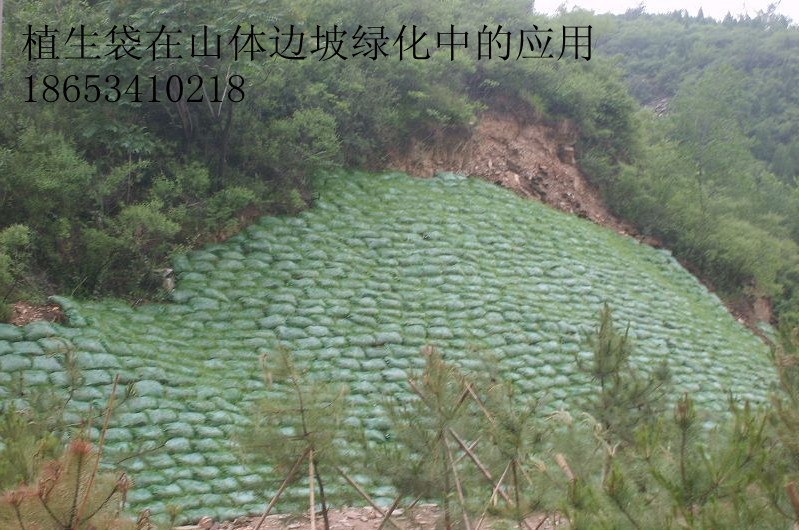 提供生态袋绿化草籽,高羊茅,黑麦草,狗牙根 图