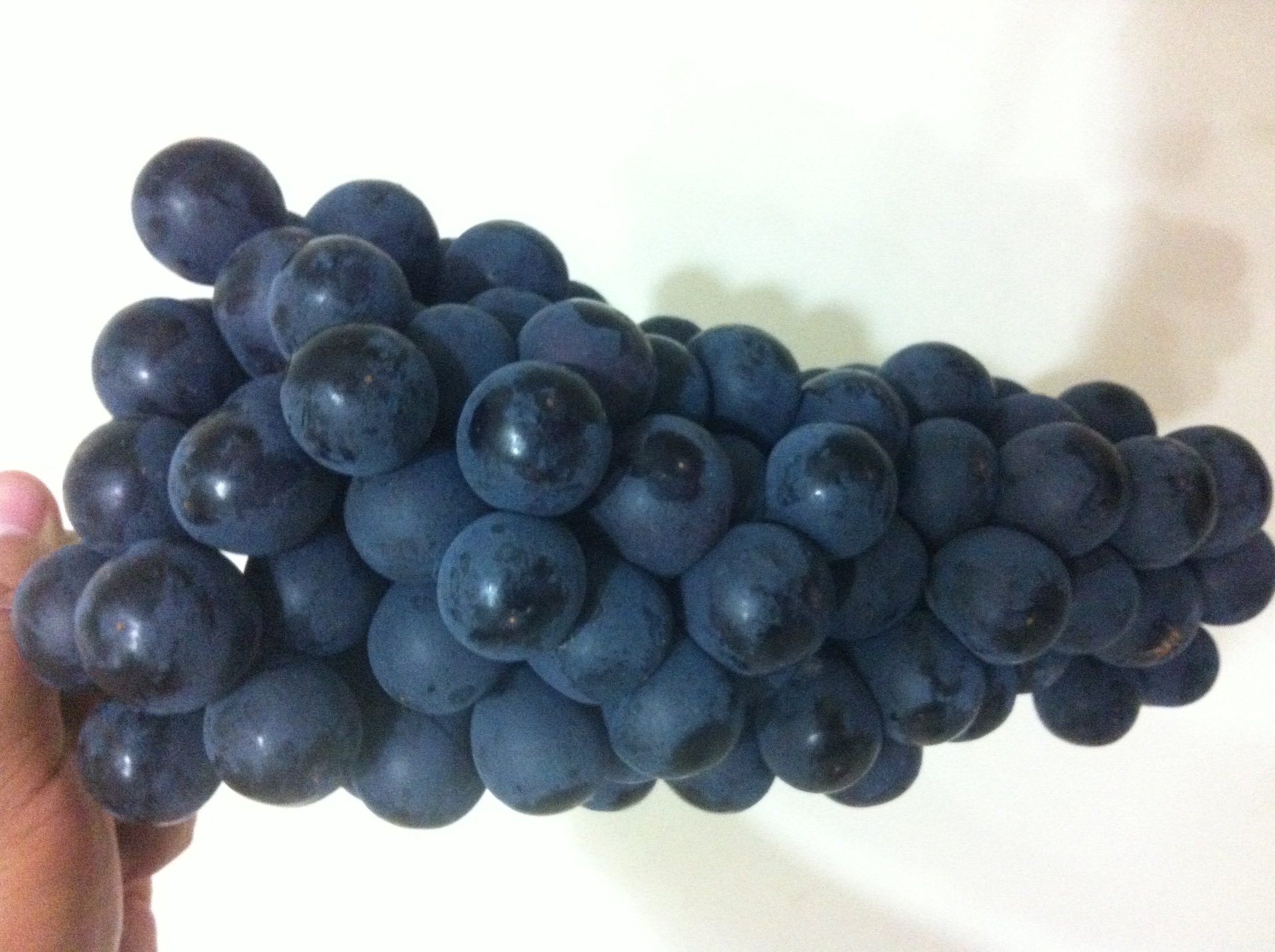 黑提-无硫杏干 蔓越莓 黑提--阿里巴巴采购平台