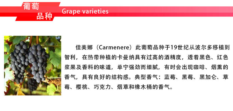 【智利进口红葡萄酒桑塔丽塔120卡门红750m